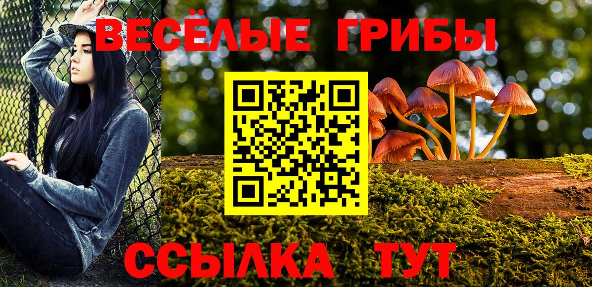 Галлюциногенные грибы Psilocybe Чебоксары