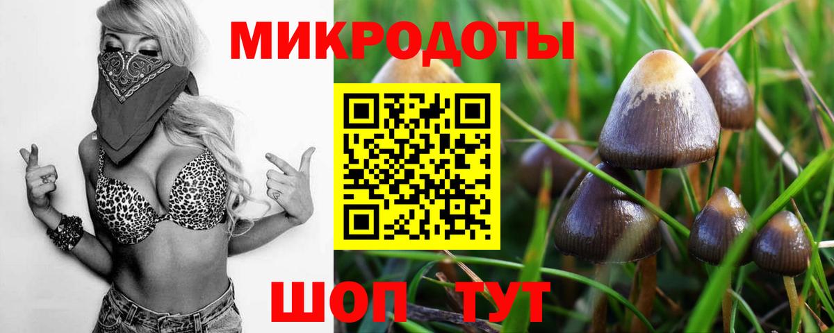 A PVP Чебоксары